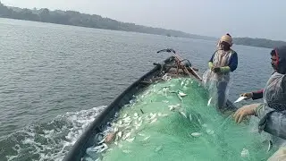 18 Jan 2025 Odisha Sea Fishing Video And Fish Catch