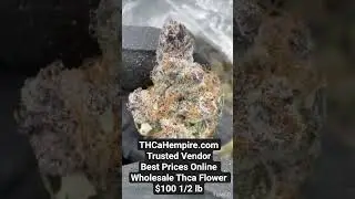 THCa Best Prices Online trusted vendor | $100 1/2 lb THCa Flower | THCaHempire.com |