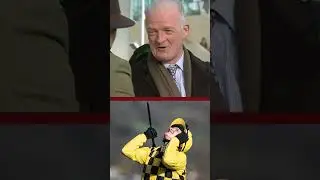 История любви между Кубком Челтнема и Уилли Маллинзом | Взгляд изнутри на мысли Уилли Маллинза