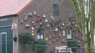 Aktieve boeren in Halsteren en Lepelstraat deel 2_0001.wmv