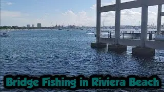 Bridge Fishing in Riviera Beach