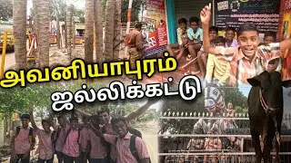 அவனியாபுரம் ஜல்லிக்கட்டு 2026 | தயாராகி கொண்டிருக்கும் வாடிவாசல்|Avaniyapuram Jallikattu 2026