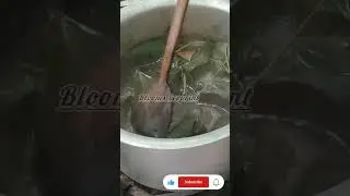 Eco print | processing leaves for Ecoprint | #shorts #youtubeshorts #ytshorts