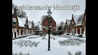 50plusonadventure Holland Sneeuw Naaldwijk