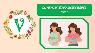 V I De quantas CALORIAS uma mulher grávida ou amamentando precisa?