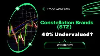 Constellation Brands (STZ) Stock Analysis | Undervalued Opportunity?