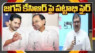 జగన్ కేసిఆర్ పై పట్టాభి ఫైర్ - TDP Leader Pattabhi Fires On YS Jagan & KCR || TV5 News