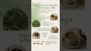 Mugwort Tea Benefits for Women #shorts  #shortsfeed #viralvideo #trending