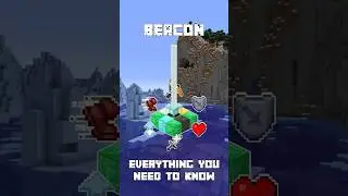 Beacon - Everything You Need to Know
