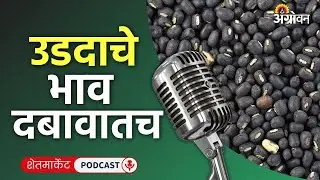 Cotton, Soybean Rate: सोयाबीन बाजार, कापूस दर, गाजर भाव, लसूण रेट | Agrowon