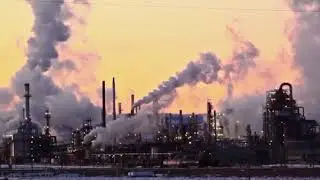 Climate Hawks AP Gov Projects