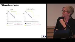 ECDP 2019 | Understanding the metabolomics of uveal melanoma: Role of adipophilin in the tumour...