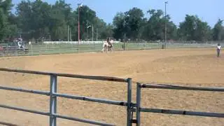 Dude being shown in Wester Pleasure open class.MOV