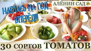 ПРОБУЕМ 30 СОРТОВ ТОМАТОВ! ТАКОГО В МОЕЙ ЖИЗНИ ЕЩЁ НЕ БЫЛО!!!
