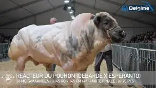 REACTEUR DU POUHON (2025)