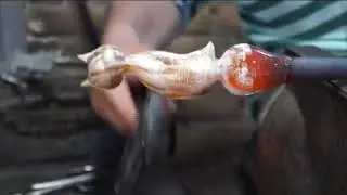 HOW IS MADE: Cat with murrina and gold leaf 24 carats