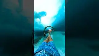 Shark Tunnel Waterslide in the Bahamas 🦈 #shorts