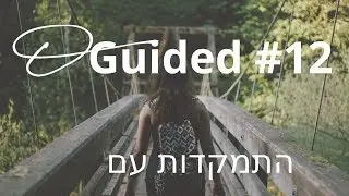 Guided Focusing #12 &ndash;  יפעת אקשטיין. התמקדות עם הטבע.