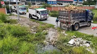 Perform Luxury JOB! Start filling soil flooded area using Truck NISSAN & KOMATSU Dozer