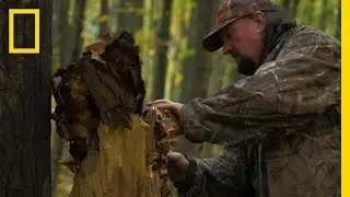 The Shroom Biz | National Geographic