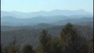 Grayson County Railsplitters - Ain't That Trouble In Mind