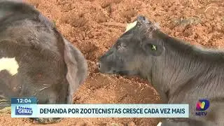 Escassez de zootecnistas vira desafio para o agroneg&oacute;cio catarinense