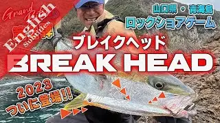 Rock Shore Fishing for Pelagic Fish on BREAK HEAD!!
