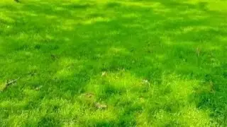 አሰላሙ አለይከለም👍🌻❤️☕️