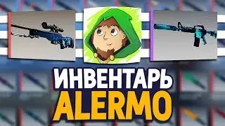 СКОЛЬКО СТОИТ ИНВЕНТАРЬ ЮТУБЕРА ALERMO В CS:GO