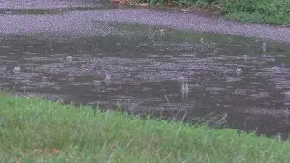 Good Question: How Are Pain, Weather Connected?