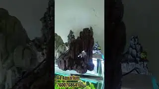 how to get aquarium toys | Best decorations toys for aquarium | #aquarium #toys #uniquetoys #viral