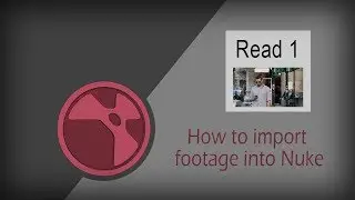 Импорт отснятого материала в Nuke (Read Node) | Учебное пособие по Nuke