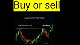Hoth Therapeutics, HOTH STOCK ANALYSIS BUY OR SELL