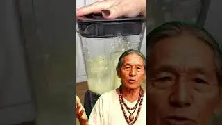 Suco de Kiwi, Pepino e Linha&ccedil;a: Laxante Natural para Pris&atilde;o de Ventre, C&oacute;lon  e Abd&ocirc;men Desinchado