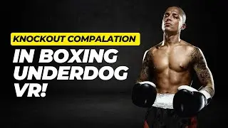 boxing underdog VR compilations