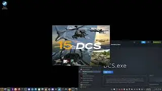How to setup DCS under 'nix With VR(or without)