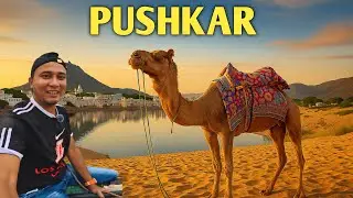 Pushkar Travel Guide | Pushkar Tourist Places | Ajmer Tourist Places | Rajasthan desert safari 