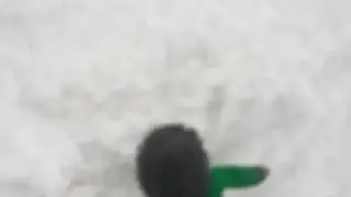 Jimmy's Snow Day