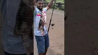 red snnaper fishing 🎣🐟🐬 !rod fishing -kokan fishing #shorts #viral #kokan #fishing #fishingvideo