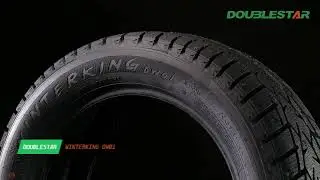 DOUBLESTAR DW01 WinterKing | Проморолик