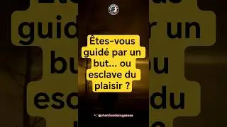 &Ecirc;tes-vous guid&eacute; par un but... ou esclave du plaisir ? #shorts #motivation #d&eacute;veloppementpersonnel