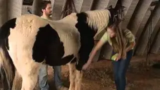 Horseback Riding - Spring 