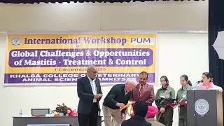Animal Udder Disease Mastitis -Treatment & Control #mastitis #international