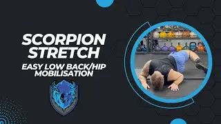 Scorpions Stretch | Low Back Mobility Exercise!