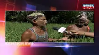 Cyclone Montha Raises Concerns Among Odisha Farmers | Weather Update