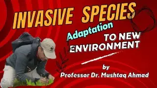 Exotic plant species to new habitat l invasive species l info biodiversity