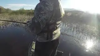 Lower Otay 20 Dec 2017