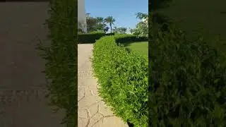 Egypt Hilton nubian(1)