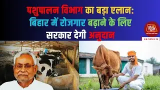 Bihar Pashupalan Scheme: अब नहीं होगी रोजगार की कमी, बड़े फायदे जारी #breakingnews #biharnews