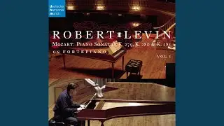 Piano Sonata K. 281 in B-flat Major: I. Allegro